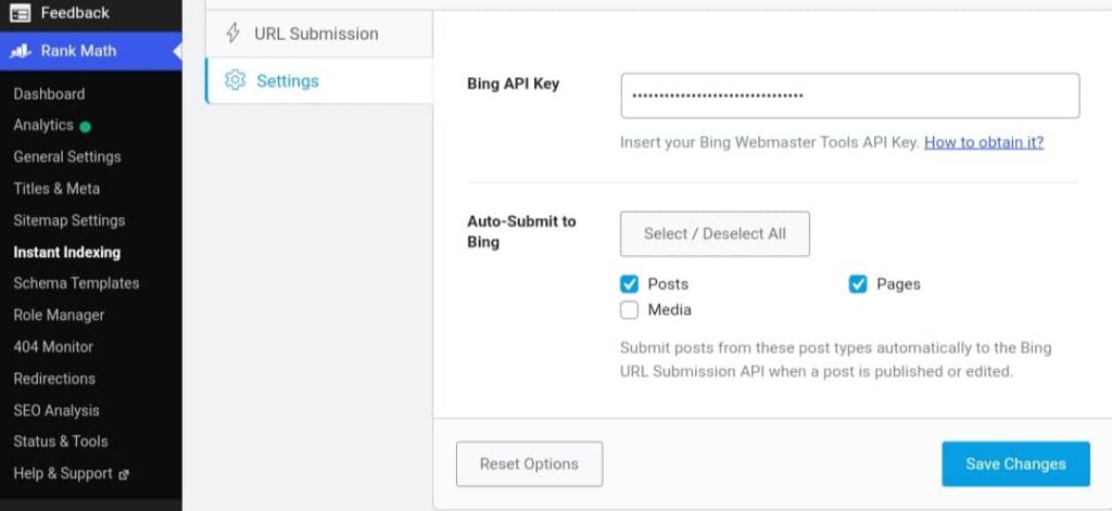 Rankmath Instant Indexing Setting