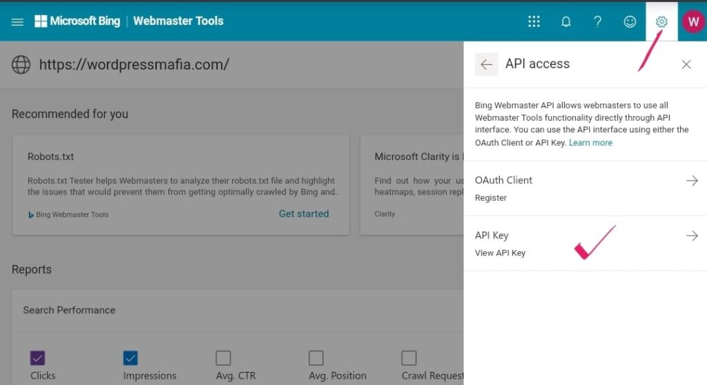 Instant Indexing Api